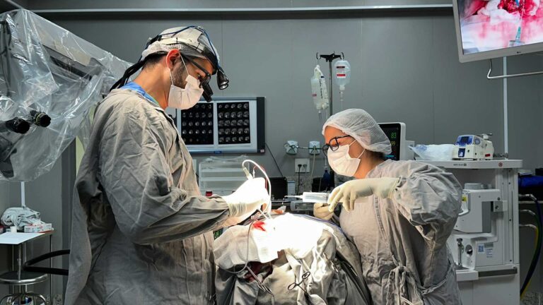 Neoro-Metastase-Cerebral-1